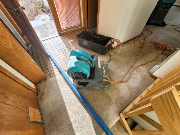 Best Carpet water damage restoration  in Ottawa, IL
